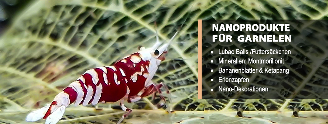 Nanoprodukty